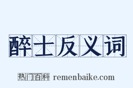 醉士反义词是什么意思的图片